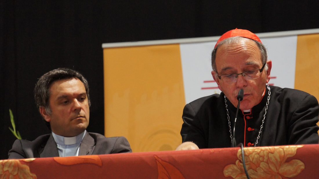 D. Manuel Clemente apresenta livro de «grande importância e actualidade»