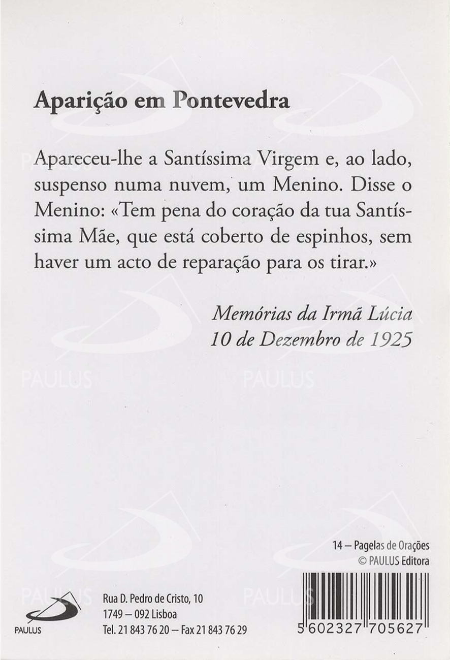 Pagela Aparição em Pontevedra - 25 un.