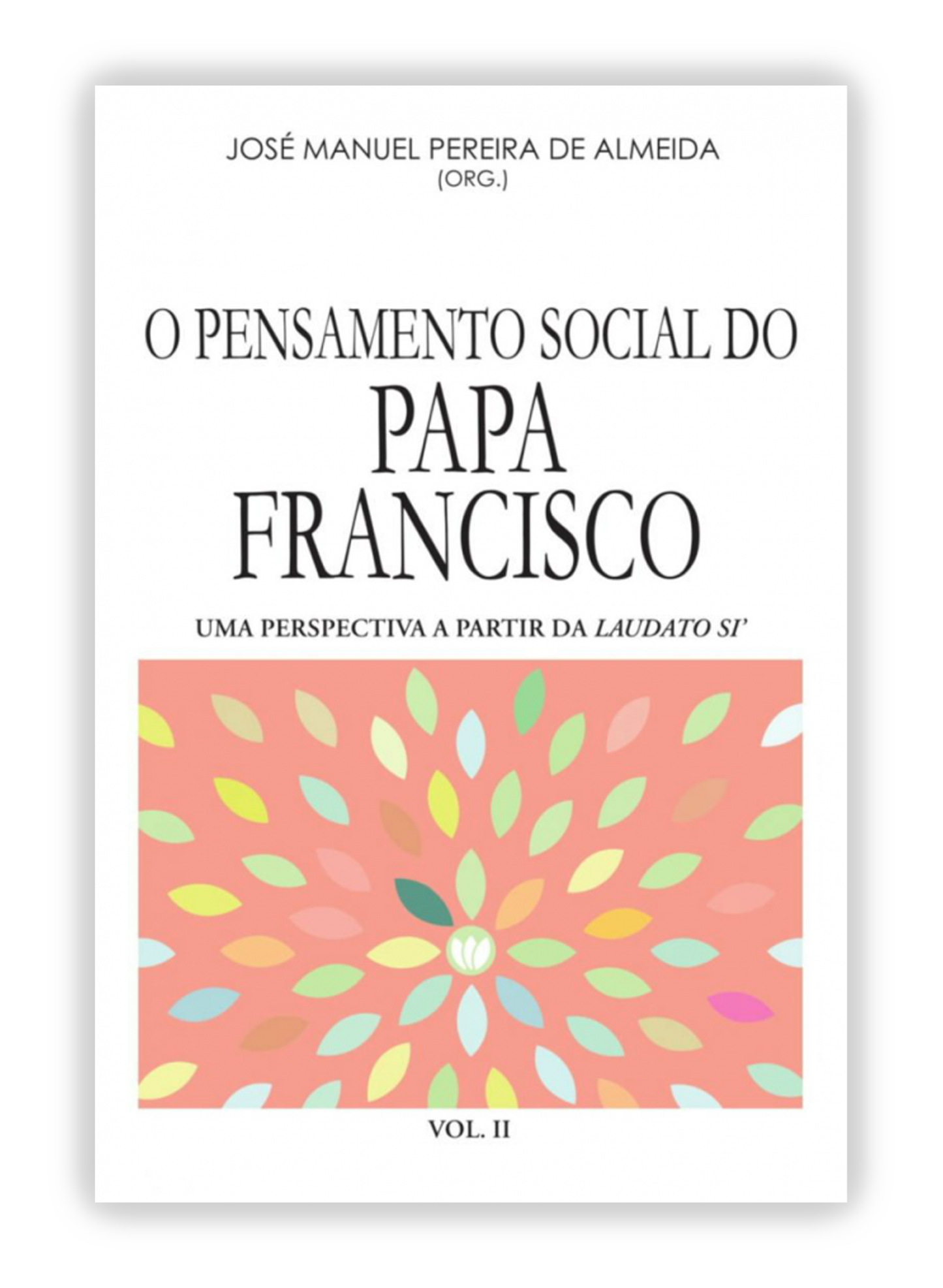 O pensamento social do Papa Francisco - Uma perspectiva a partir da Laudato Si - II