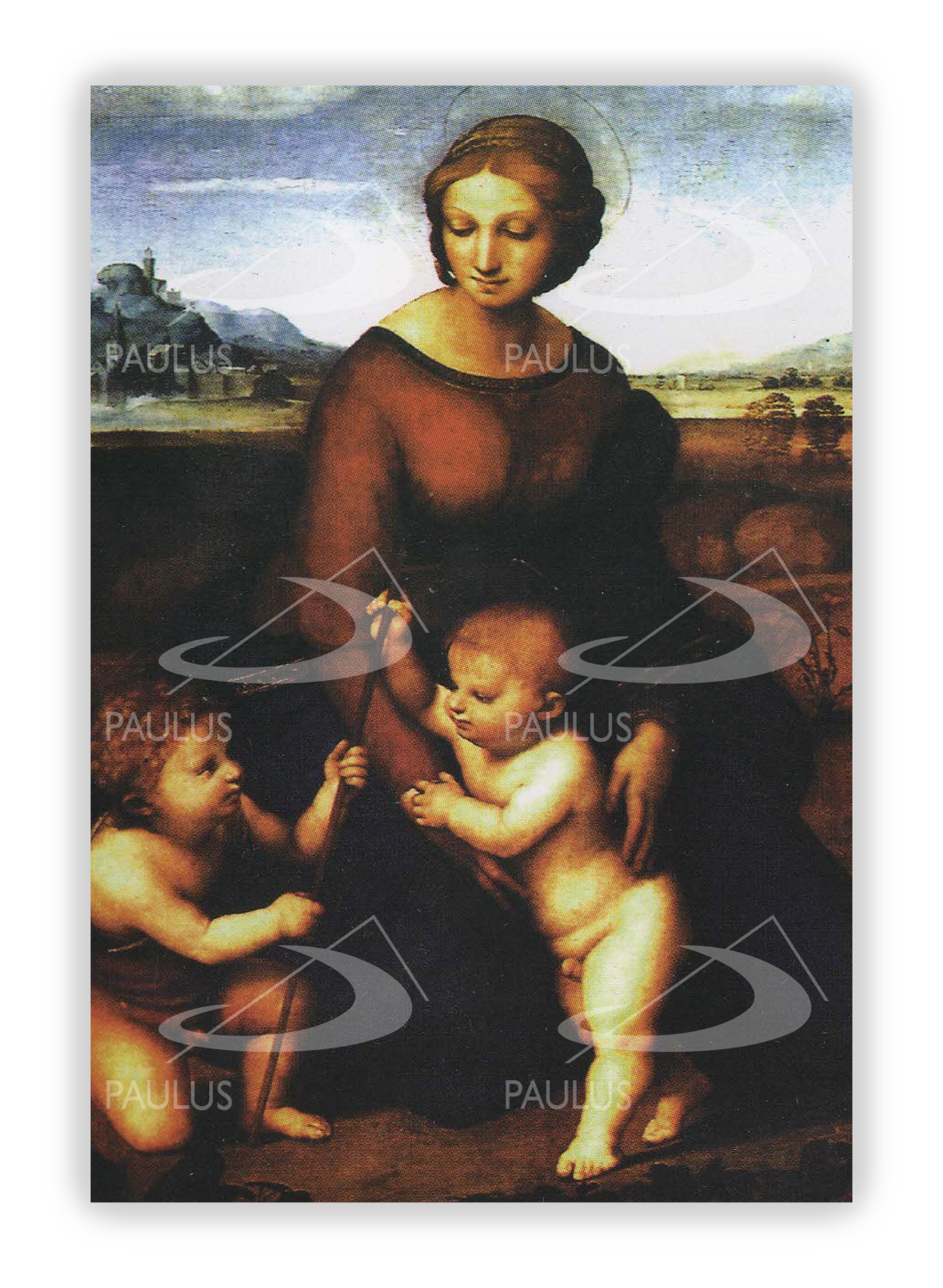 Pagela Benedictus - 25 un.