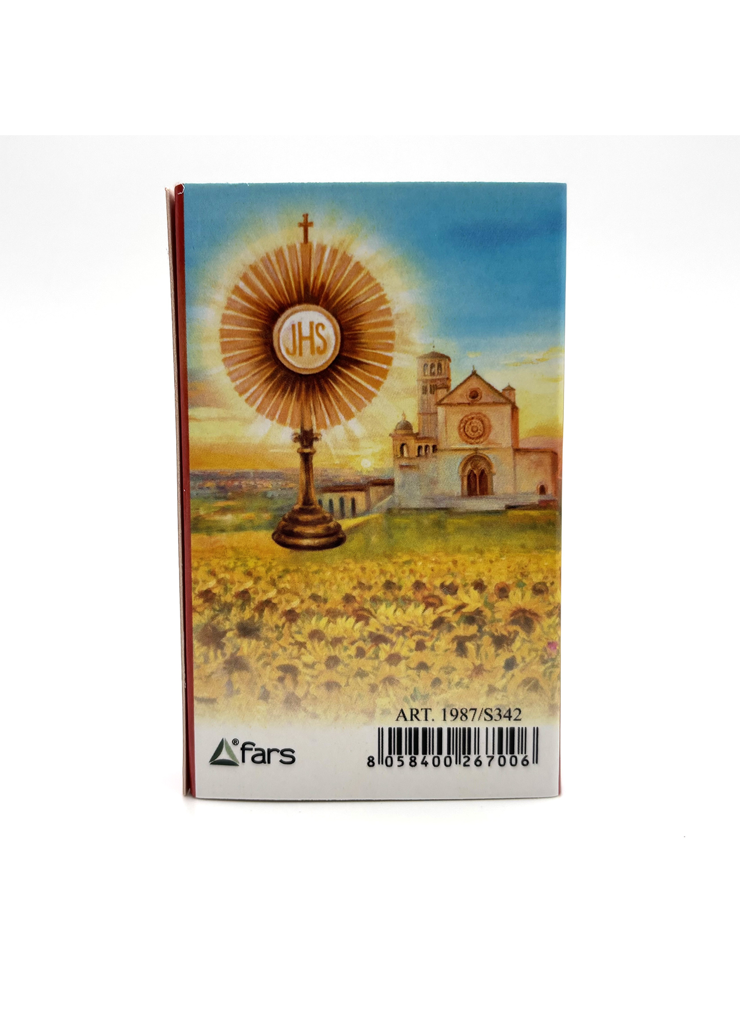Colar com Medalha de São Carlo Acutis – Aço Inoxidável