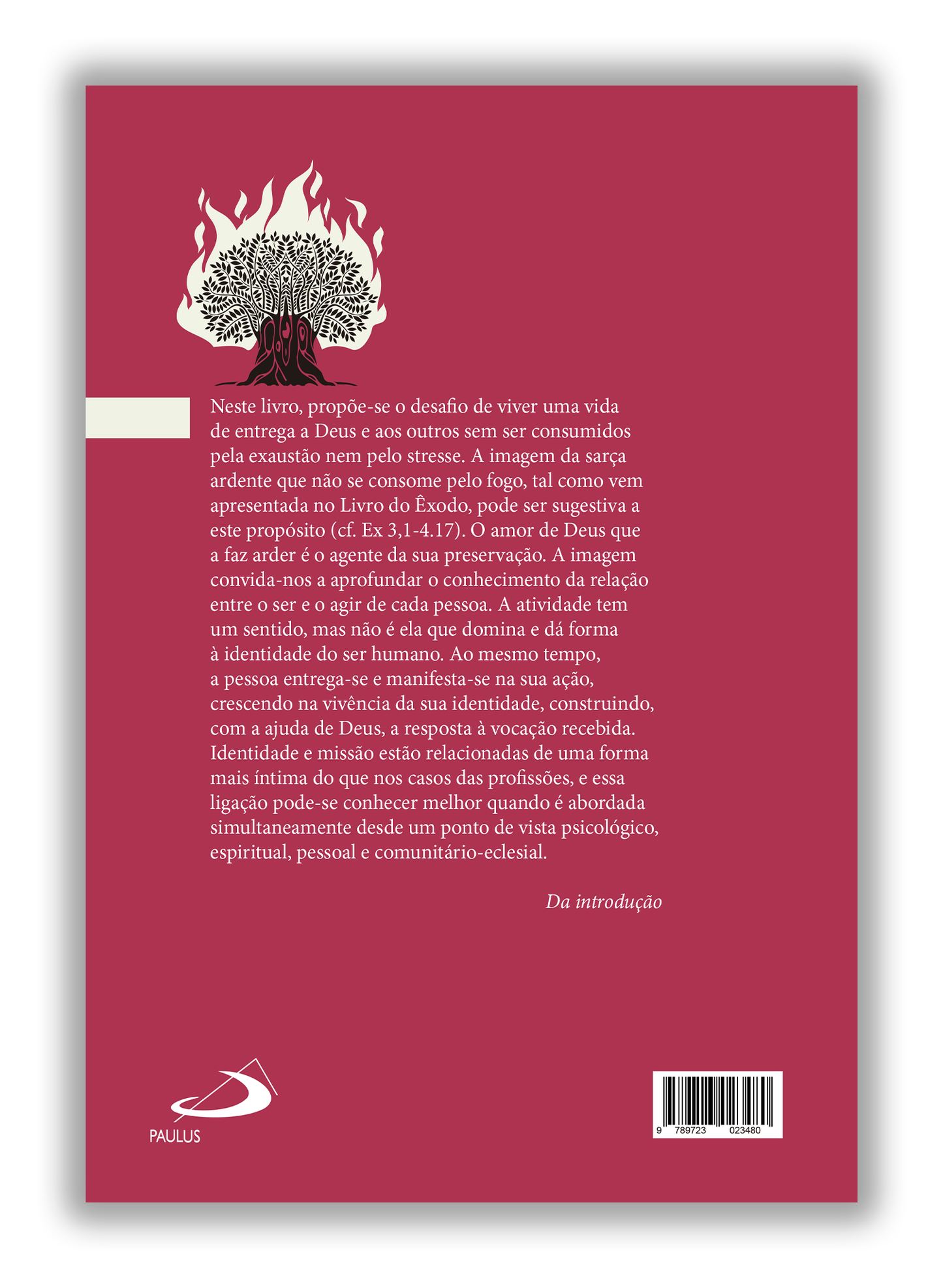 O Burnout - Entregar-se e não ser consumido pela exaustão e o stresse
