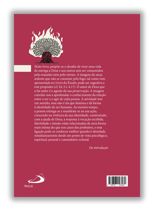 O Burnout - Entregar-se e não ser consumido pela exaustão e o stresse