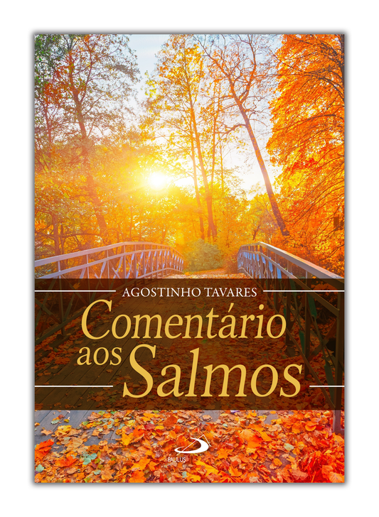 Comentário aos Salmos