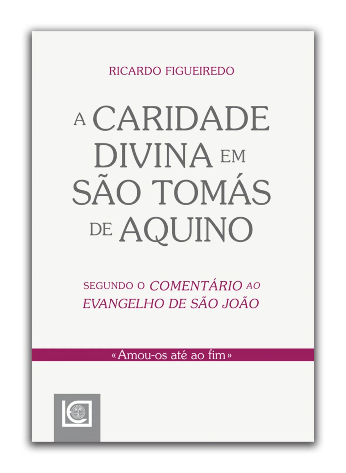 A caridade divina em São Tomás de Aquino - segundo o Comentário ao Evangelho de São João