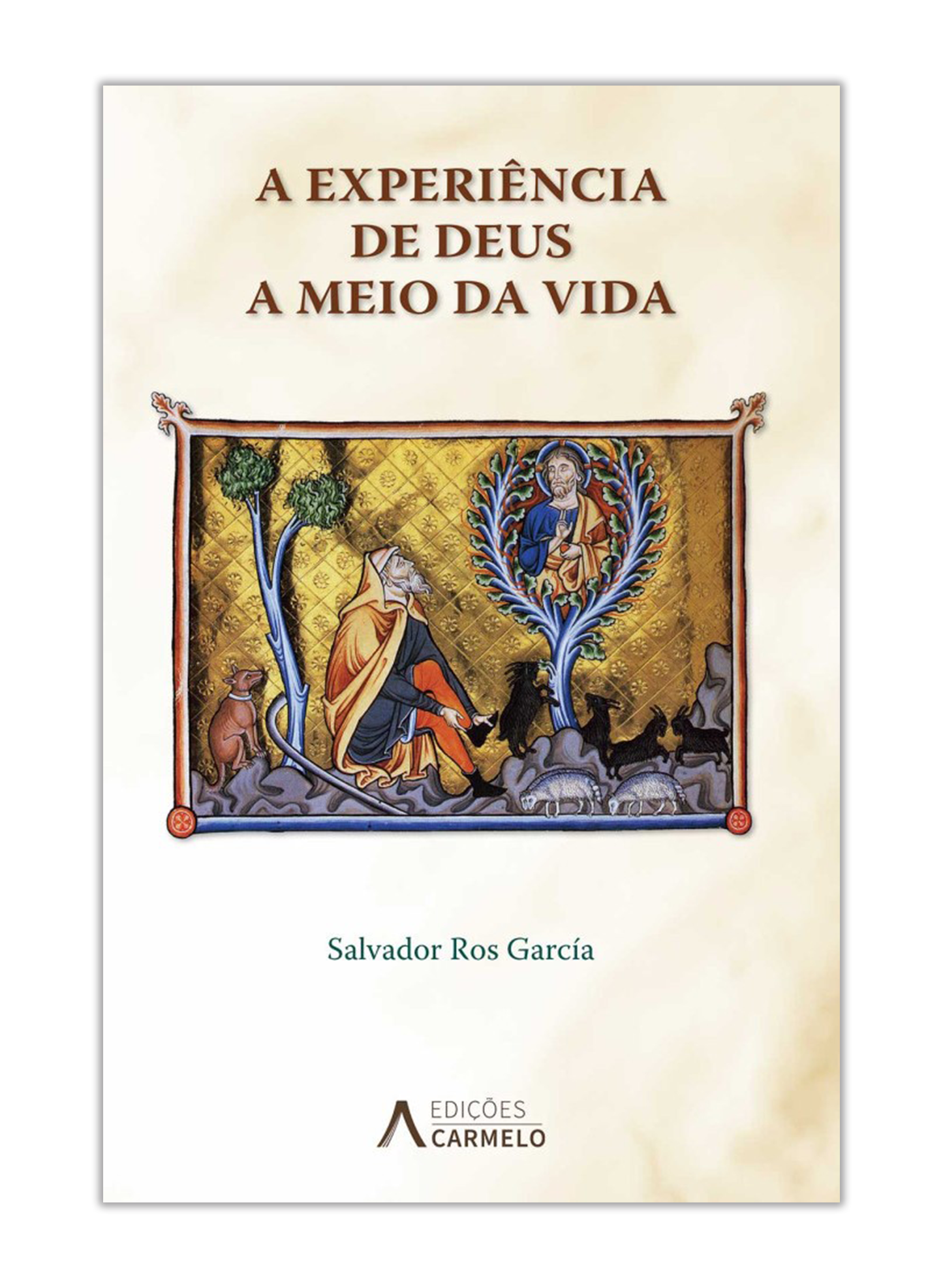 A experiência de Deus a meio da vida