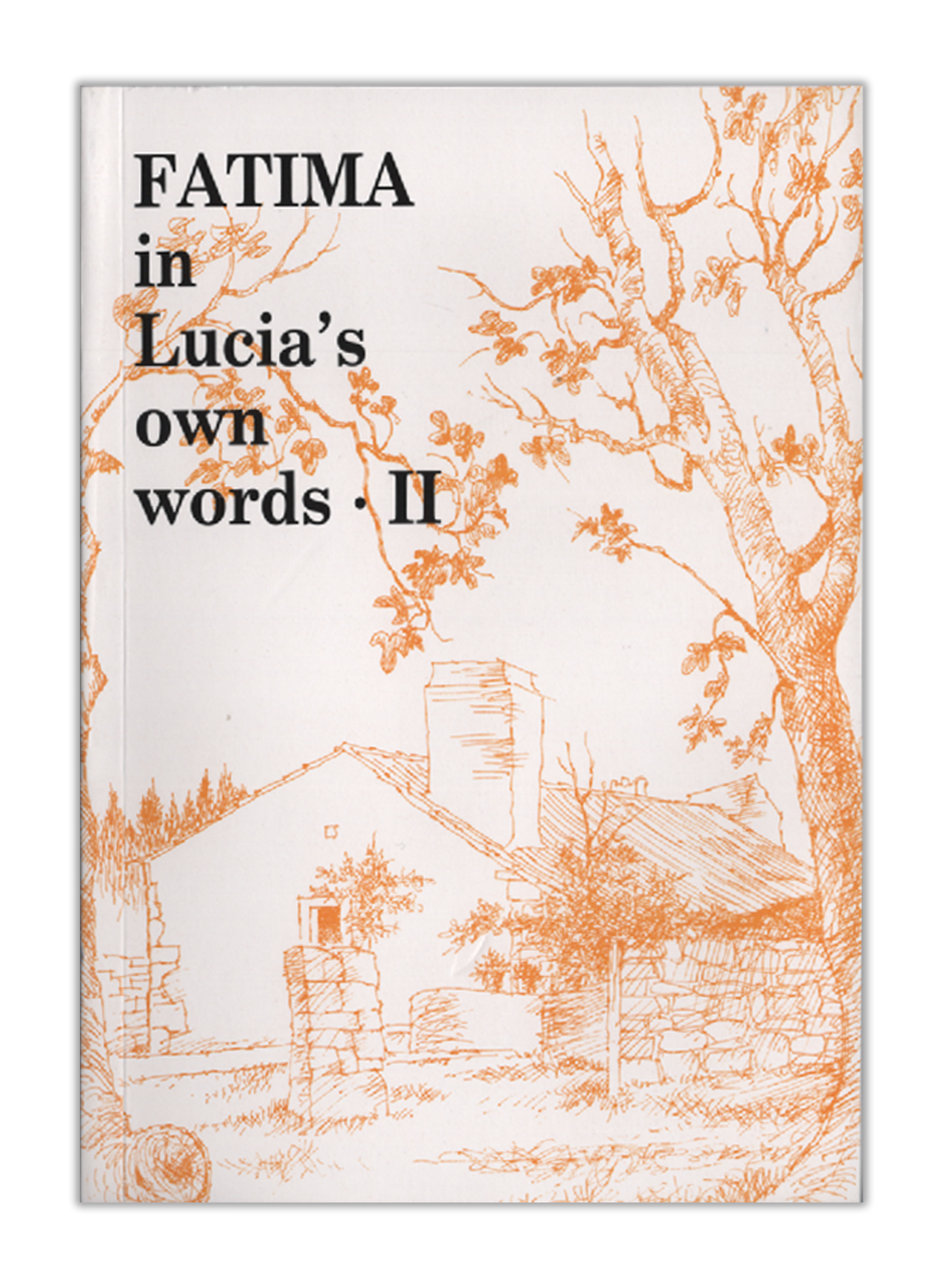 Fatima in Lucia's own words II