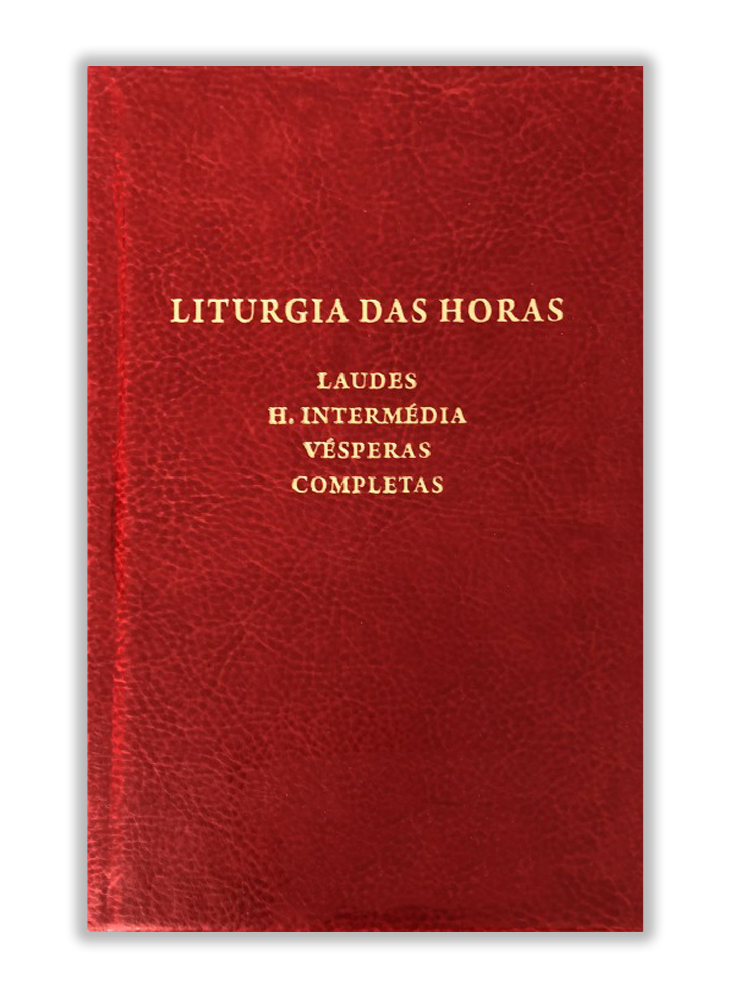 Liturgia das Horas – Edição abreviada com Hora Intermédia