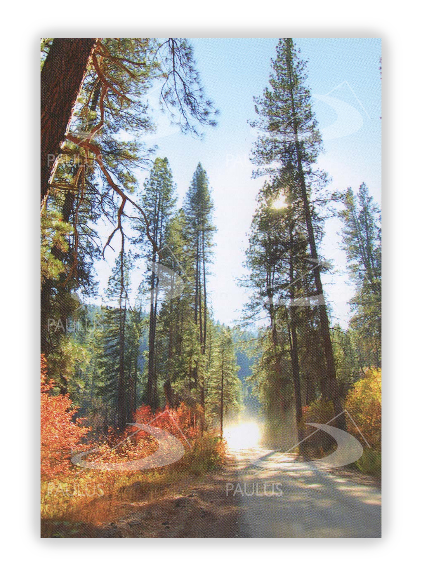 Pagela Oração para Viagens - Pacote com 10 un.