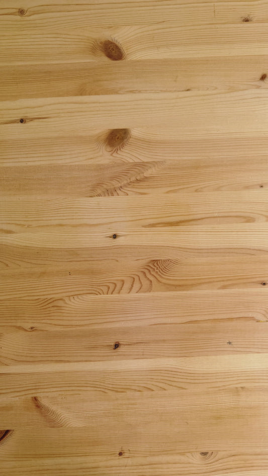 O Meu Caminho de Santiago