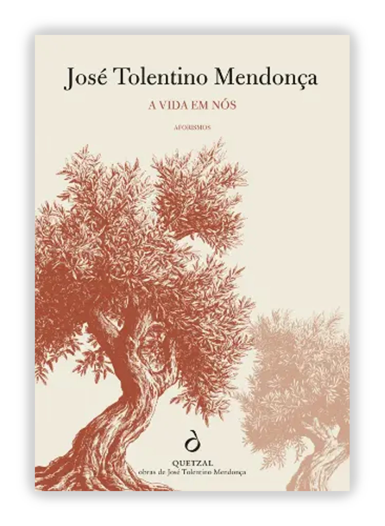 Cardeal Tolentino