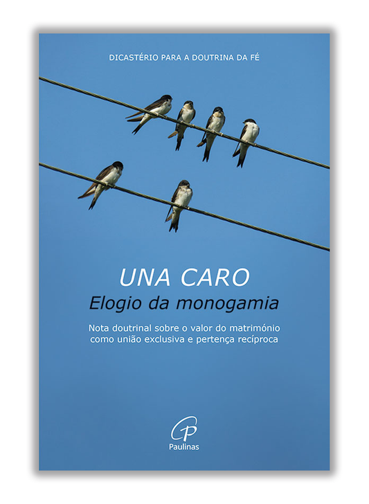 na caro ‒ Elogio da monogamia - Nota doutrinal sobre o valor do matrimónio como união exclusiva e pertença recíproca