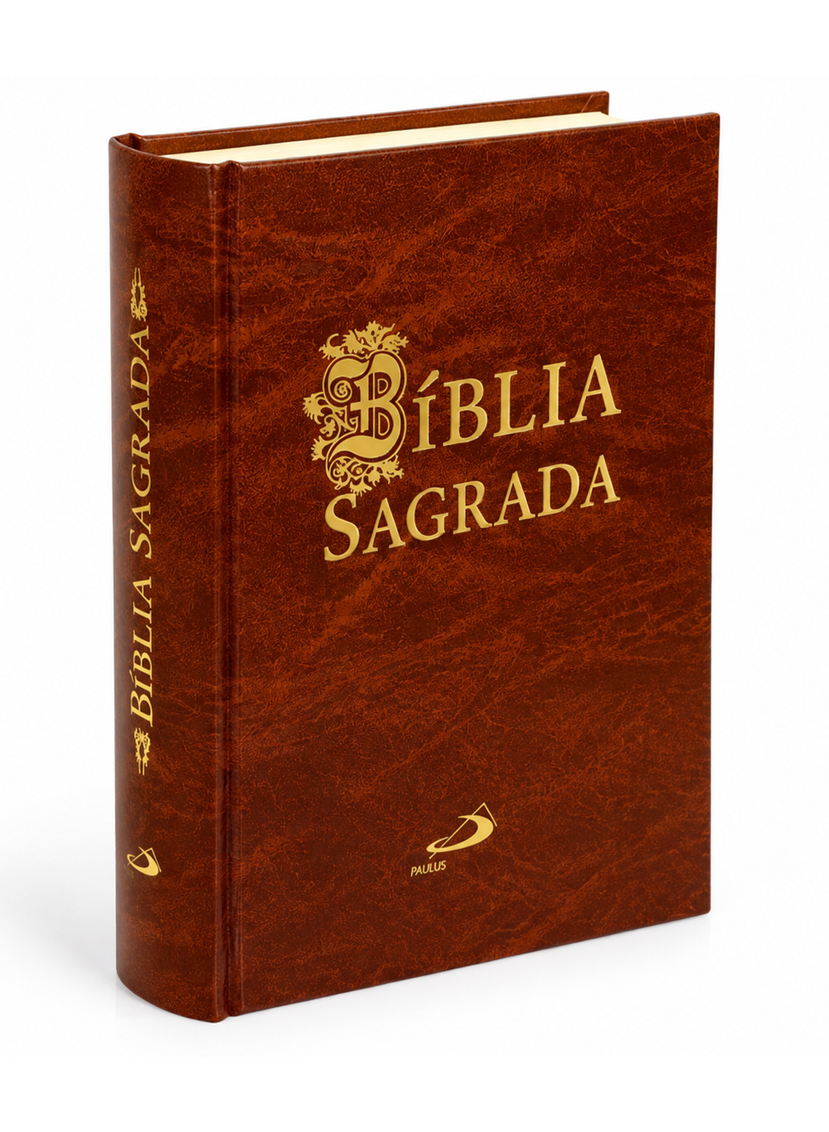 Bíblia Sagrada