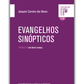 Evangelhos Sinópticos
