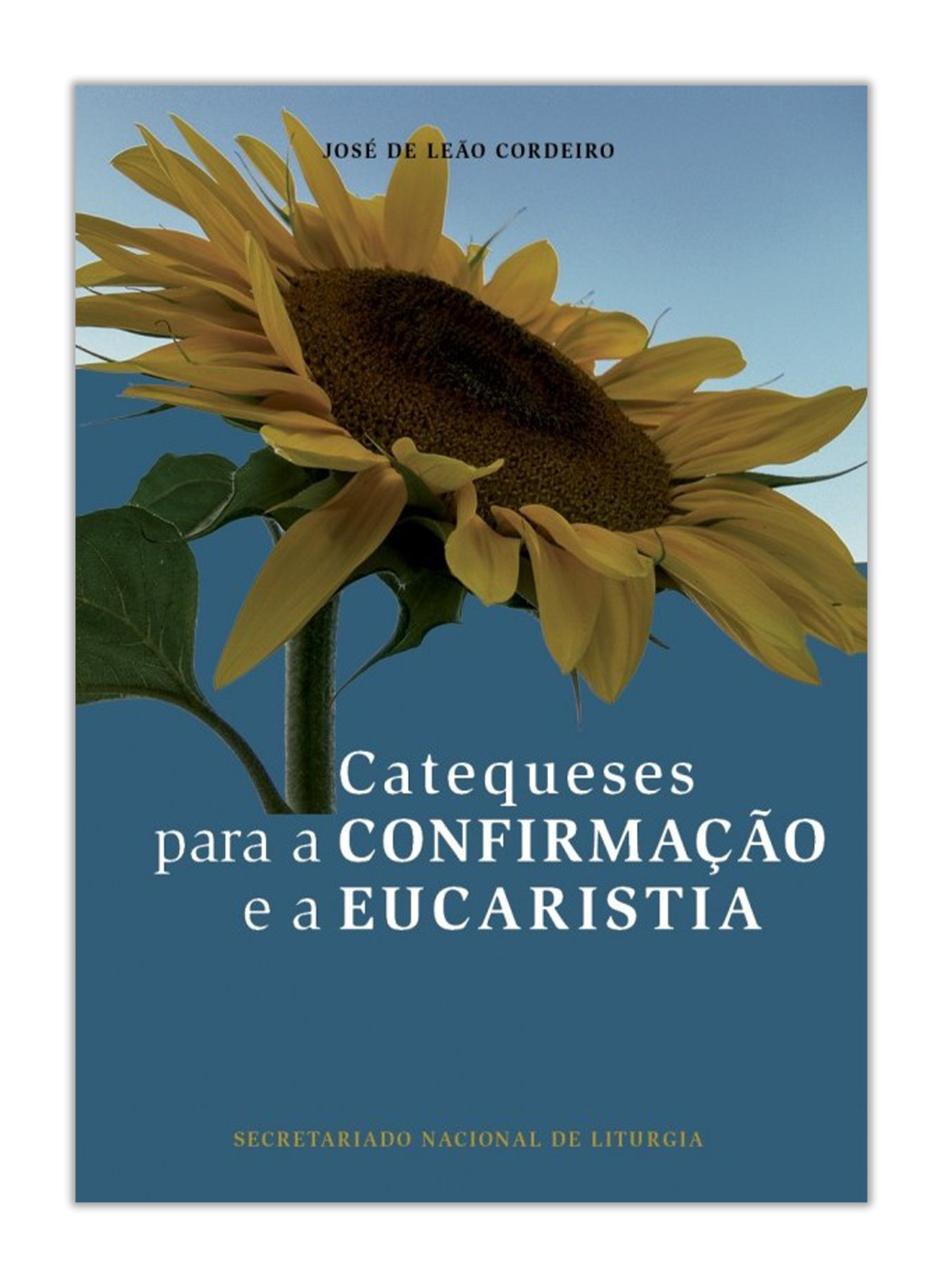 Catequeses para a Confirmação e a Eucaristia