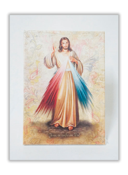 Jesus Misericordioso - Tela