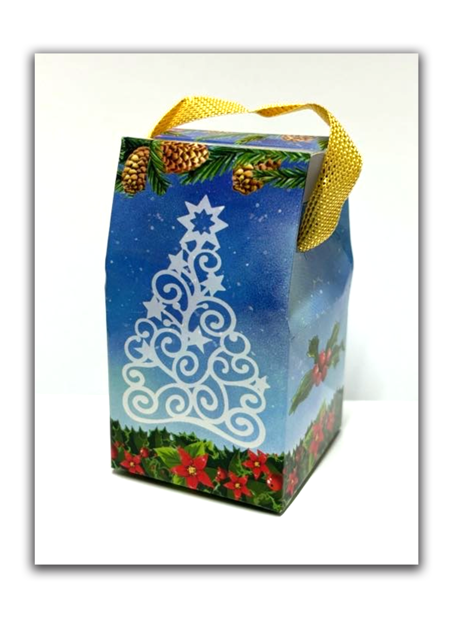 Sagrada Família com caixa