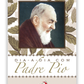 Dia-a-dia com Padre Pio