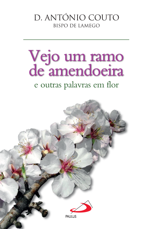 Vejo um ramo de amendoeira