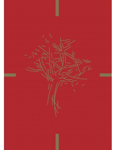 Missal Romano(folhas vermelhas)